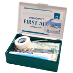 LIV PERSONAL FIRSTAID KT COMPLETE SET IN GREEN PLASTIC CSE