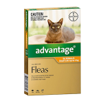 BAYER ADVANTAGE,FLEA TREATMENT FOR SMALL CATS UP TO 4KG,4/PK