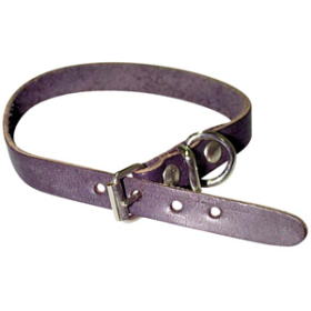 PET PUPPY COLLAR, ASSORTED COLOURS, 30CM, EA