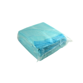 LIV INCONTINENCE UNDERPAD W/ SAP 5-PLY 60X40CM BLUEY 200/CTN