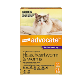 ADVOCATE FLEA & WORM CONTROL FOR CATS OVER 4KGS, 0.8ML, 6/PK